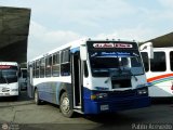 Lnea El Pial A.C. 33