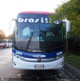 Expreso Brasilia 6519