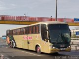 Cetur S.R.L. 955 por Leonardo Saturno