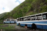 En Chiveras Abandonados Recuperacin 