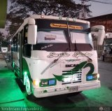 A.C. Transporte Paez 007, por Yenderson Fernndez C.