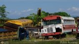 En Chiveras Abandonados Recuperacin 