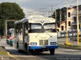S.C. L�nea Transporte Expresos Del Chama 153, por Leonardo Saturno