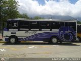 A.C. de Transporte Encarnacin 033, por Alfredo Montes de Oca