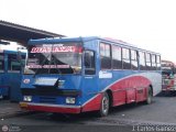 Transporte Bonanza 0119