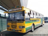 ZU - Colectivos Concepcin 075