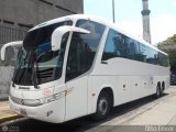 Transporte Clavellino 229