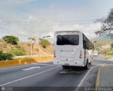 A.C. Don Augusto Malave Villalba 207