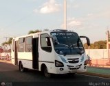 AN - A.C. de Conductores Divino Nio 219, por Miguel Pino