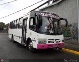 A.C. Don Augusto Malave Villalba 108