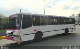 Cooperativa Innovacin Yarense 90