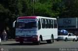 TA - A.C. Autos por puesto Lnea Palmira 065