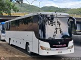 Expresos Pegamar 1011 por Josue S�nchez