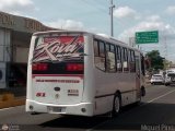 Ejecutivos Kova 081 por M�guel Pino
