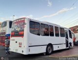 Ejecutivos Kova 084
