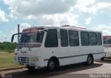 Ejecutivos Kova 100 Encava Nuevo E-NT900AR Encava Isuzu Serie 900