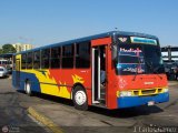 Colectivos Perij 35