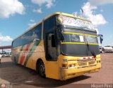 Expresos La Guayanesa 315