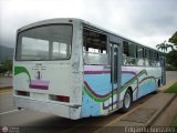 Ruta Metropolitana del Litoral Varguense 3 por Edgardo Gonz�lez