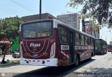 E.T. Transportistas Unidos S.A. (Per) 101