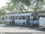 Metrobus Caracas 952, por Edgardo Gonzlez