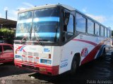 Expresos Alianza 115