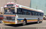 Colectivo San Rafael (El Mojn) 09