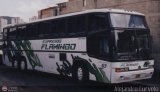 Expresos Flamingo 63