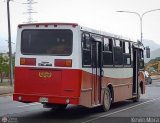 A.C. Unin Puerto Cabello 84