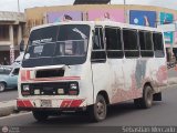 ZU - Los Claveles 61 Fanabus BimboBus Chevrolet P31 Nacional