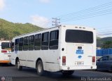 Transporte Mixto Chirgua 0002, por Aly Baranauskas