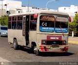 ZU - Lnea Por Puesto San Felipe 02, por ngel Delgado