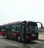 AR - TransMaracay 4539