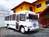 Colectivo Los Andes (Mrida - El Vigia) 01