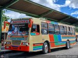 Transporte Bonanza 0001