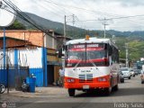 Lnea Unin Cordero 007, por Freddy Salas