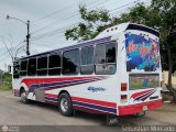 Expresos La Gran Colombia 33