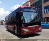 Cooperativa Carlos Arvelo 08 Yutong ZK6852HG Integral Cummins EQB210-20