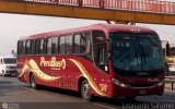 Empresa de Transporte Per Bus S.A. 377, por Leonardo Saturno