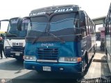 U.C. Falcn Zulia 07