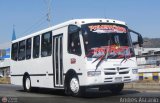 Transporte Virgen del Carmen 12