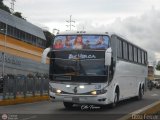 Bus Ven 3311, por Otto Ferrer