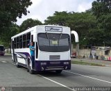 DC - Cooperativa de Transporte Los 4 Ases 24