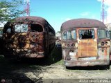 En Chiveras Abandonados Recuperacin AC0041 Wayne Type 90 Desconocido NPI