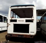 En Chiveras Abandonados Recuperacin 30, por Andrs Ascanio