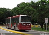 Bus CCS 1005, por Waldir Mata