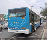 E.T. Alamo Express S.A. (Per) 908