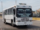 Colectivos La Rosita 011, por Sebastin Mercado