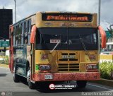 Expresos Pegamar 0012