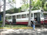 En Chiveras Abandonados Recuperacin 15